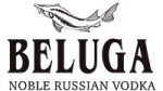 Beluga-Logo-2048x1152